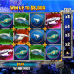 Slot Game Shark Week