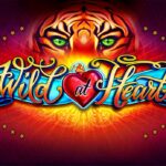 Wild at Heart™: Unleashing Adventure and Big Wins